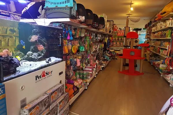 PetStar Petmarket - Resim 19