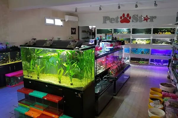 PetStar Petmarket - Resim 15
