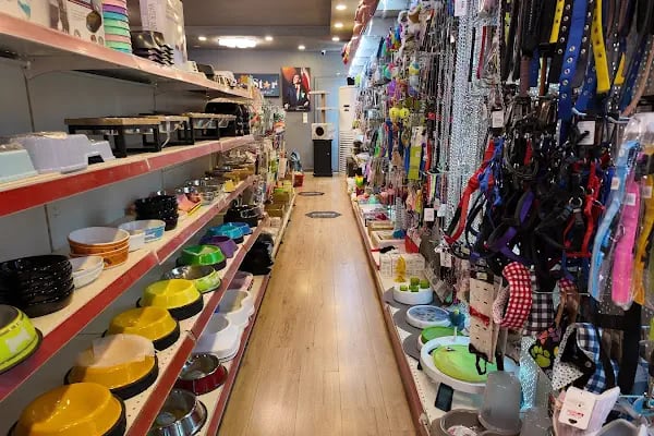 PetStar Petmarket - Resim 13