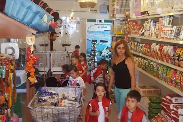PetStar Petmarket - Resim 7
