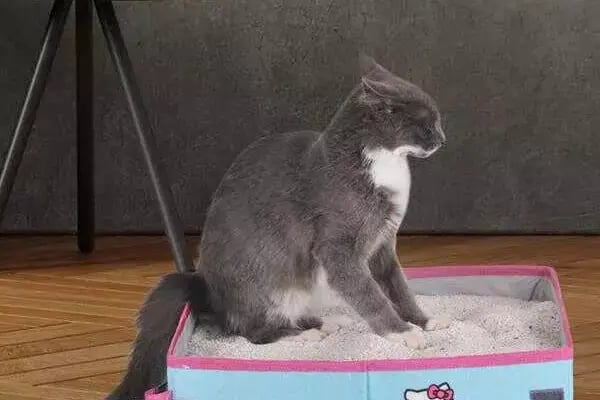 PetStar Petmarket - Resim 11