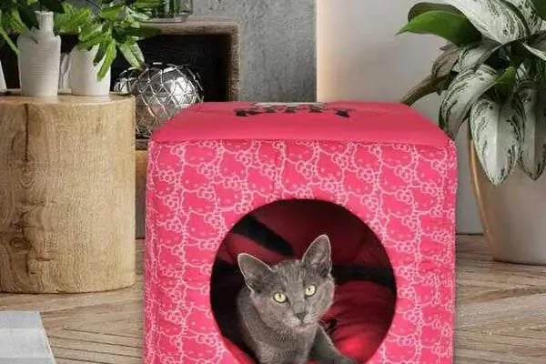 PetStar Petmarket - Resim 5