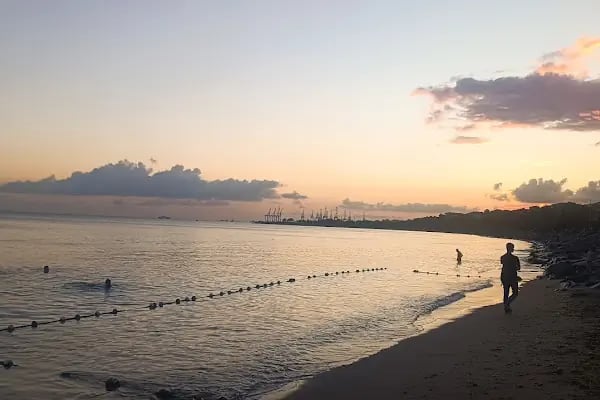 Public beach with umbrella - Resim 15