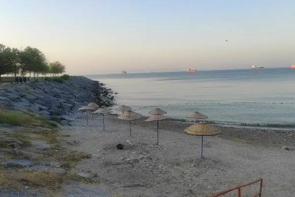 Public beach with umbrella - Resim 1