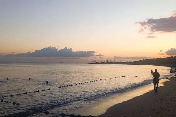 Public beach with umbrella - Resim 19