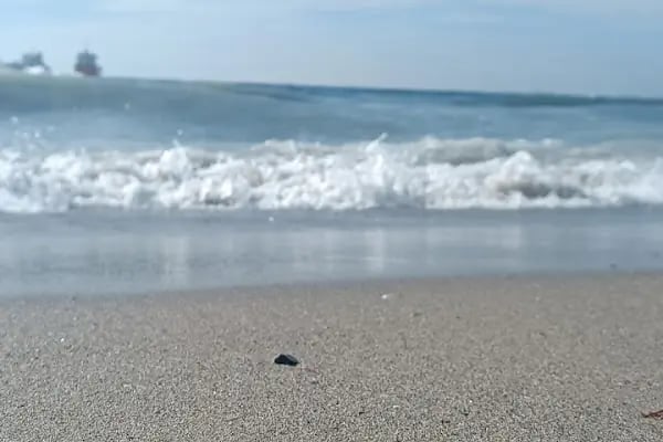 Public beach with umbrella - Resim 17