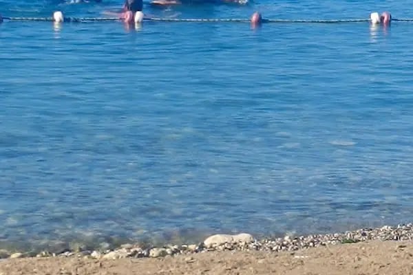 Public beach with umbrella - Resim 13