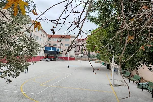 HASAN ÇOLAK ANADOLU LİSESİ - Resim 5