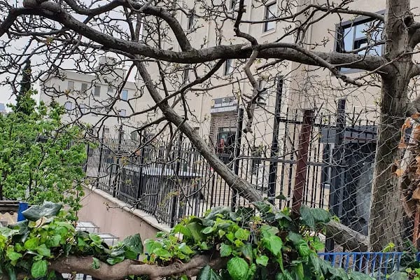 İstanbul Üniversitesi Devlet Konservatuvarı - Resim 11
