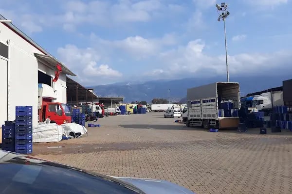 BABACANLAR SEBZE MEYVE KOM.TAR.TURZ.VE GIDA TIC LTD.ŞTİ. (MERKEZ) - Resim 6