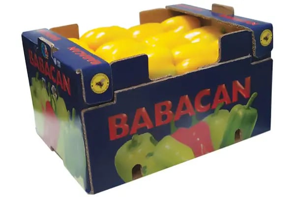 BABACANLAR SEBZE MEYVE KOM.TAR.TURZ.VE GIDA TIC LTD.ŞTİ. (MERKEZ) - Resim 16