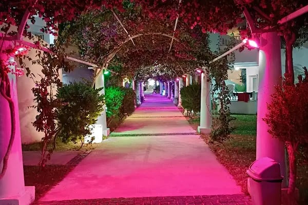 Bendis Beach Hotel - Resim 12