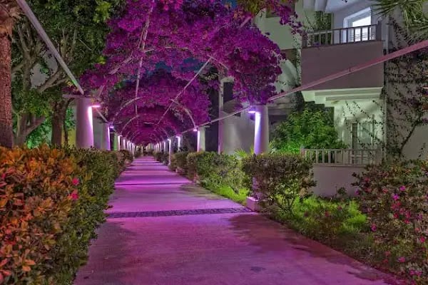 Bendis Beach Hotel - Resim 4