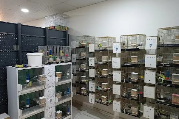 Jumbo Petshop - Resim 3