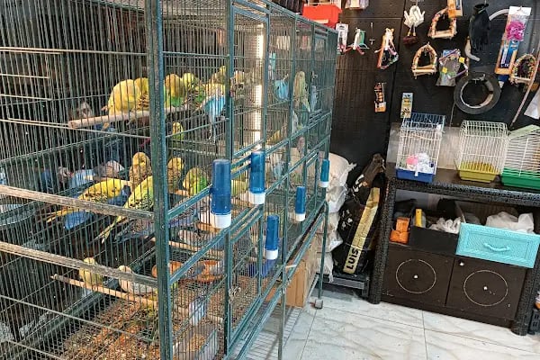 Jumbo Petshop - Resim 2