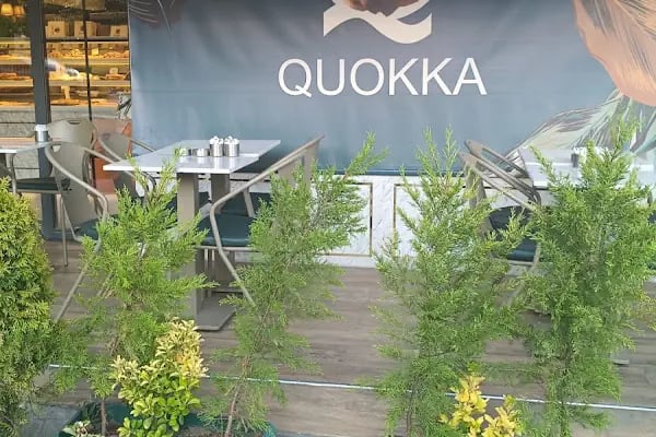 Quokka Pastanesi - Resim 13
