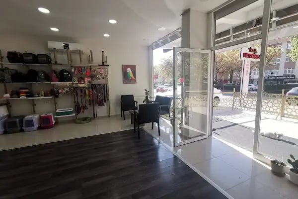 Etlik Yoda Veteriner Kliniği - Resim 14