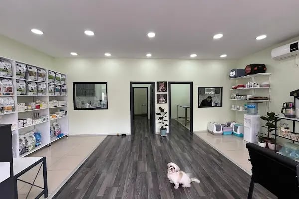 Etlik Yoda Veteriner Kliniği - Resim 4