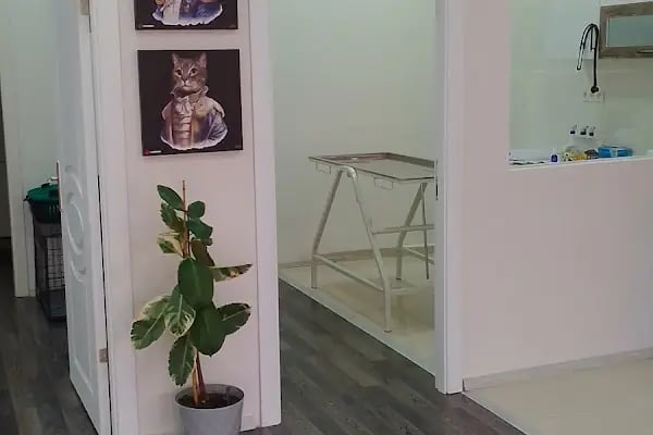 Etlik Yoda Veteriner Kliniği - Resim 11