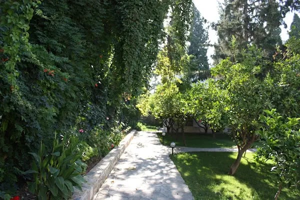 Toloman Bitez Park Apart - Resim 11