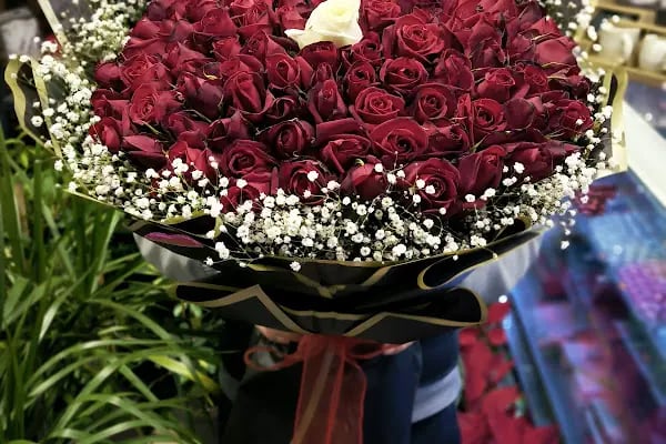 Florya Dünya Çiçekçilik - Resim 19