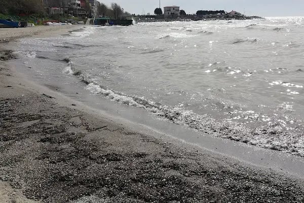 Avcılar sahil yolu - Resim 10