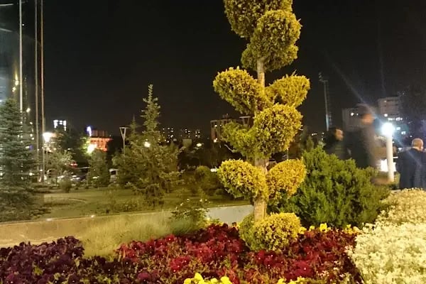 Cüneyt Gökçer Sahnesi - Resim 17