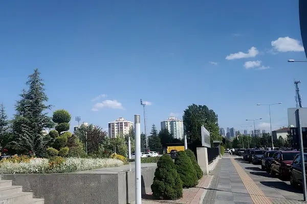 Cüneyt Gökçer Sahnesi - Resim 13