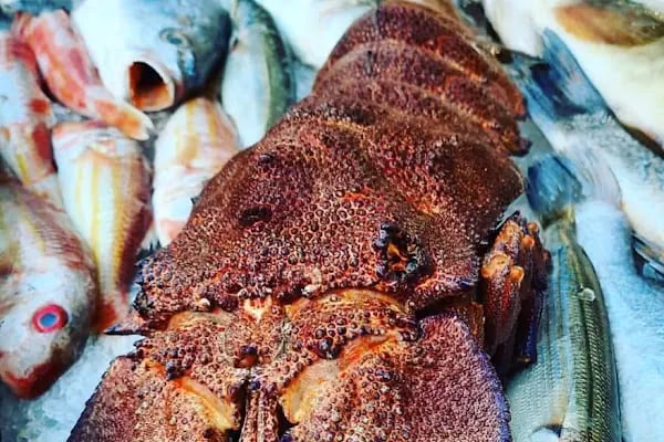 Chefmetin Moonlightrestaurant&amp;Steakhouse - Resim 18
