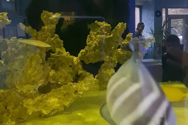 Emirhan akvaryum&amp;petshop - Resim 6