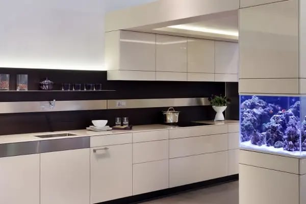 Emirhan akvaryum&amp;petshop - Resim 7