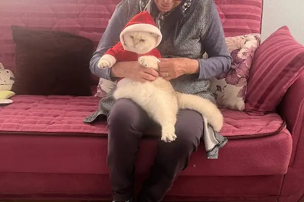 Foksvet Veteriner Kliniği - Adana - Resim 10