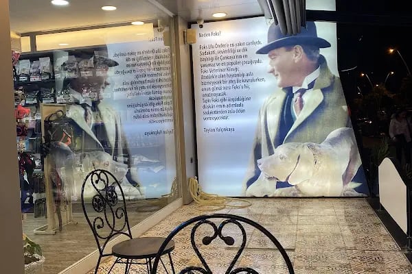 Foksvet Veteriner Kliniği - Adana - Resim 7