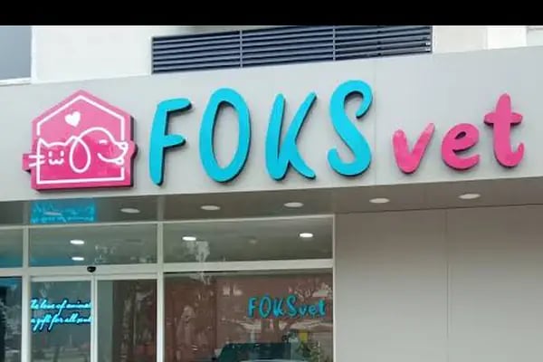 Foksvet Veteriner Kliniği - Adana - Resim 17