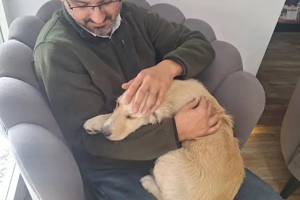 Foksvet Veteriner Kliniği - Adana - Resim 16