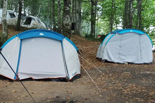 Eriklitepe Tabiat Parkı - Resim 10