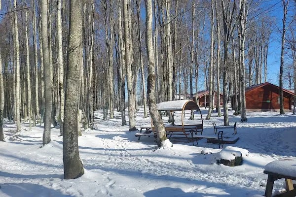 Eriklitepe Tabiat Parkı - Resim 5