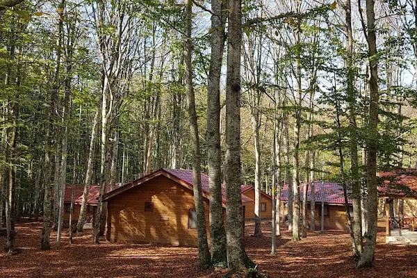 Eriklitepe Tabiat Parkı - Resim 3