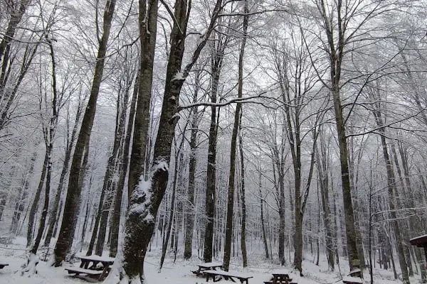 Eriklitepe Tabiat Parkı - Resim 11