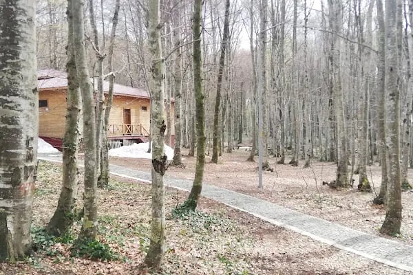 Eriklitepe Tabiat Parkı - Resim 2