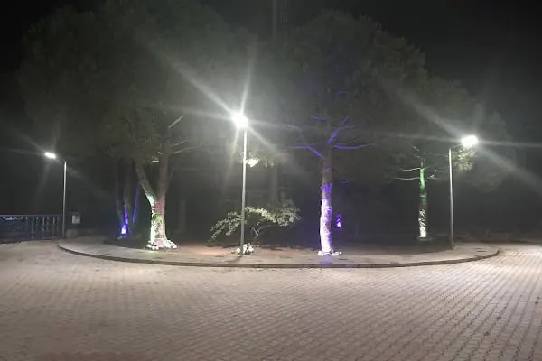 Kızılırmak Butik Otel - Resim 1