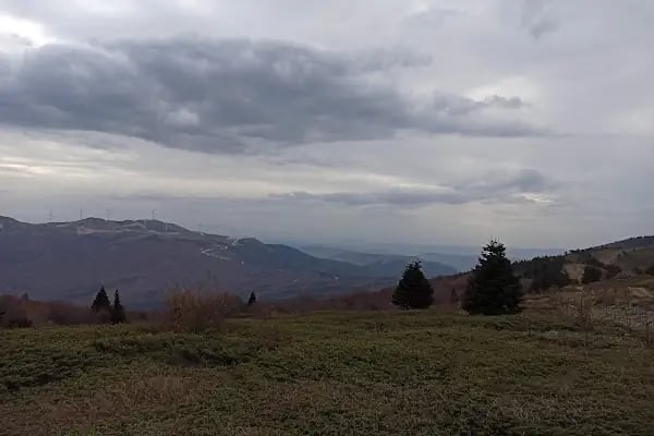 İnegöl Belediyesi Kapalı Yüzme Havuzu - Resim 3