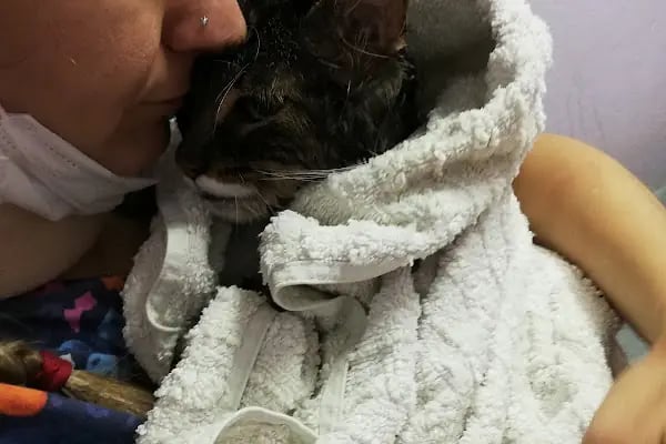 Pan-vet Veteriner Kliniği - Resim 13