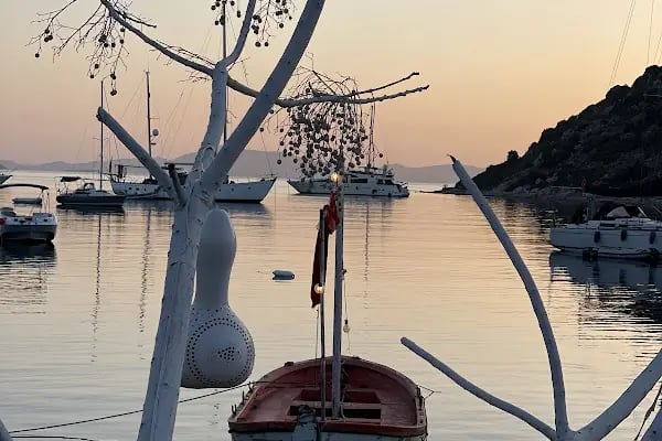 Mimoza Gümüşlük Restaurant - Resim 14