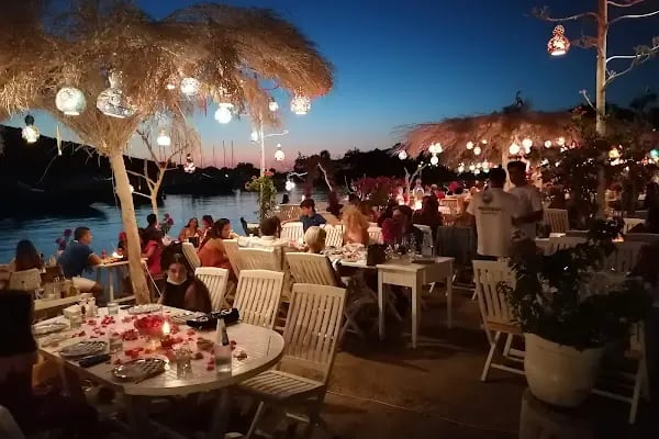 Mimoza Gümüşlük Restaurant - Resim 17