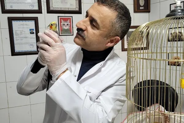 Tuncay Demir Veteriner Hizmetleri - Resim 8