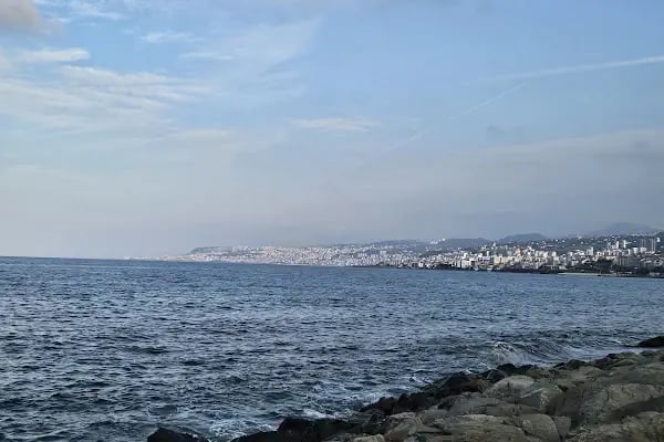 Kamiloğlu Köfte Akçaabat - Resim 14