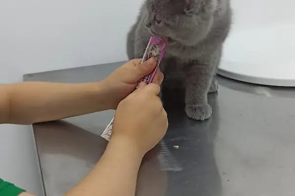 Kalaba Veteriner Kliniği - Resim 5