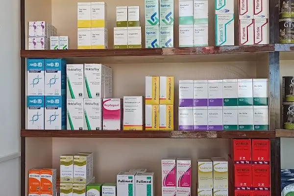 Kalaba Veteriner Kliniği - Resim 9