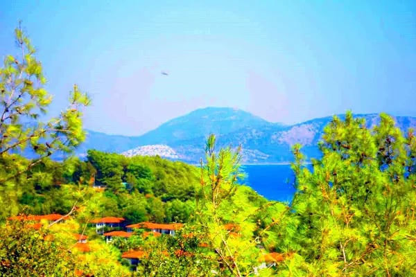 Alinn Sarıgerme Club Otel - Resim 15